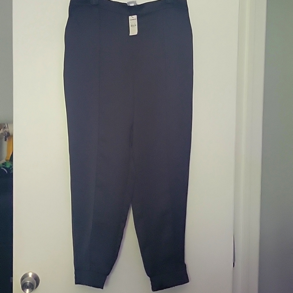 EXPRESS Satin Joggers